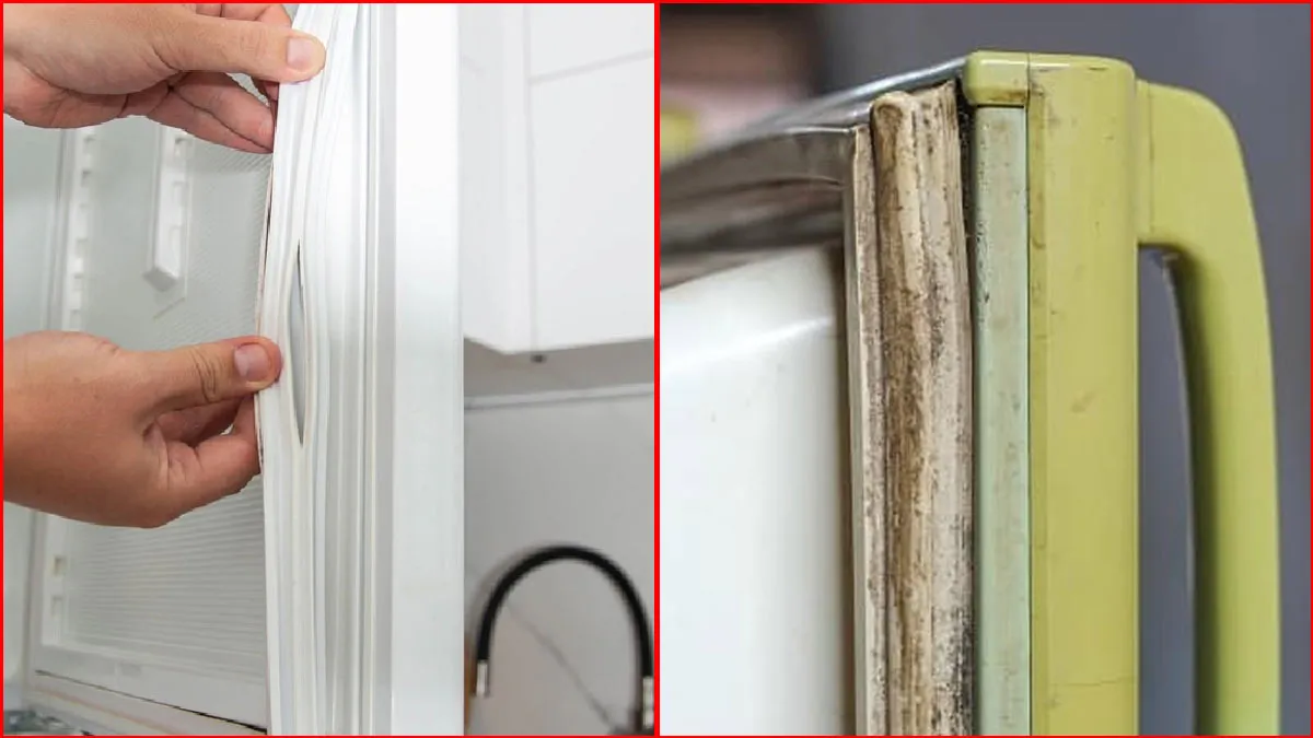 10 minutes hacks to clean fungus on refrigerator door rubberेे